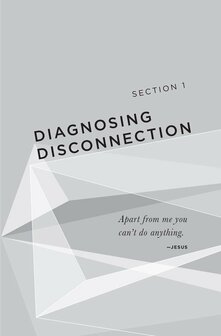 When Your Way Isn&#039;t Working: Finding Purpose and Contentment through Deep Connection with Jesus - Idleman, Kyle