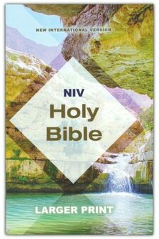 NIV Holy Bible Economy Edition, Larger Print, --softcover, tan &amp; teal