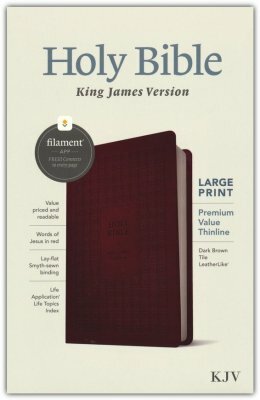 KJV Large Print Premium Value Thinline Bible, Filament Enabled Edition