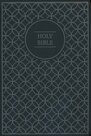 NIV-Value-Thinline-Bible-Large-Print-Gray-and-Black-Imitation-Leather