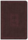 KJV-Large-Print-Premium-Value-Thinline-Bible-Filament-Enabled-Edition