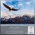 Jigsaw puzzel eagles wings 550 pcs_